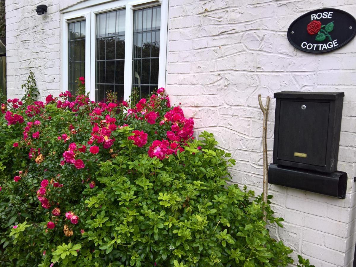 Rose Cottage Chard Eksteriør billede